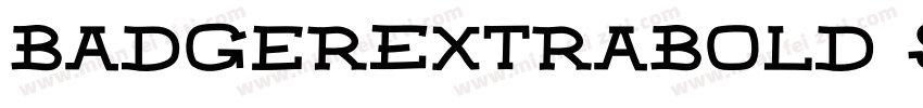 BadgerExtraBold Std Regular字体转换